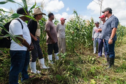 Các chuyên gia thảo luận với nông dân Cuba về giải pháp nông nghiệp. 