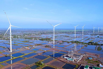 Toàn cảnh Nhà máy Ðiện gió Kosy Bạc Liêu giai đoạn 1. (Ảnh Văn Toàn) 