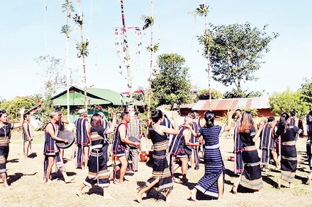 Cây nêu xuất hiện ở hầu khắp các lễ hội lớn của người Cơ Ho. 