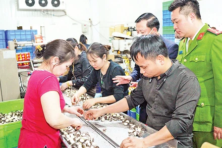 Các cơ quan chức năng kiểm tra một cơ sở sản xuất bánh kẹo tại thành phố Hà Nội. 