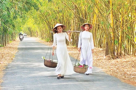 Ðường tre tại rừng tràm Gáo Giồng, huyện Cao Lãnh, tỉnh Ðồng Tháp. 