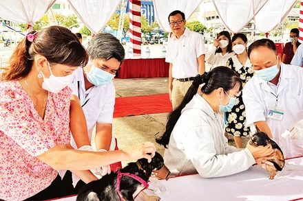 Tỉnh Bến Tre đang tập trung tiêm ngừa bệnh dại cho đàn chó, mèo. 