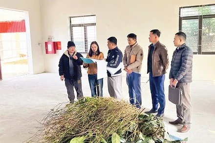 Lãnh đạo Sở Nông nghiệp và Phát triển nông thôn Bắc Kạn kiểm tra, nghiệm thu, bàn giao nhà xưởng mới xây dựng cho Hợp tác xã dược liệu Bảo Châu, huyện Na Rì. (Ảnh THU TRANG) 