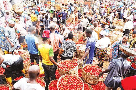 Nigeria thúc đẩy biện pháp tái thiết nền kinh tế. (Ảnh REUTERS) 