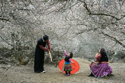 Cảnh sắc thiên nhiên và bản sắc văn hóa là những yếu tố thu hút đông khách du lịch tới Mộc Châu, Sơn La. (Ảnh Hoàng Hạnh) 