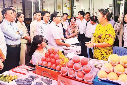 Ðoàn giám sát Ban Văn hóa-Xã hội, HÐND Thành phố Hồ Chí Minh giám sát vệ sinh an toàn thực phẩm tại chợ nông sản (thành phố Thủ Ðức) đêm 16/8/2024. 