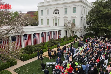 [Video] Các nền kinh tế phản ứng trước lệnh áp thuế của ông D. Trump