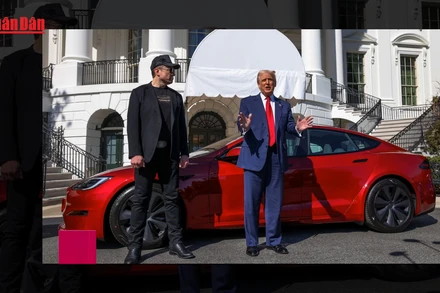 [Video] Ông D. Trump dọa trục xuất người phản đối tỷ phú Elon Musk