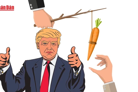 [Video] "Cây gậy và củ cà rốt" của Tổng thống Mỹ Donald Trump