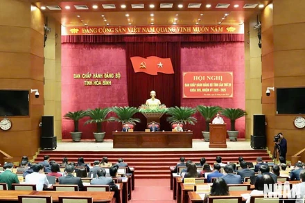 Các đại biểu tại hội nghị.