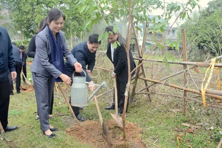 Các đồng chí lãnh đạo tỉnh Hòa Bình trồng cây sau Lễ phát động.