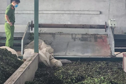 Hiện trường vụ việc tại xưởng chế biến chè tại thôn Gốc Xanh, xã Phú Nghĩa, huyện Lạc Thủy.