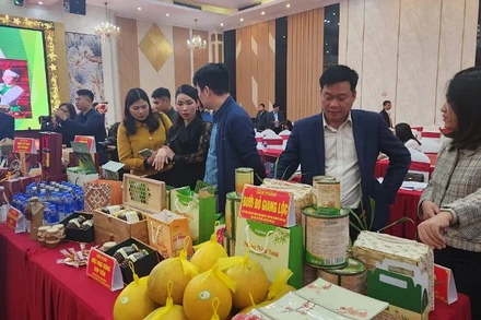 Các sản phẩm tại Hội nghị đánh giá, phân hạng OCOP 4 sao cấp tỉnh năm 2023.