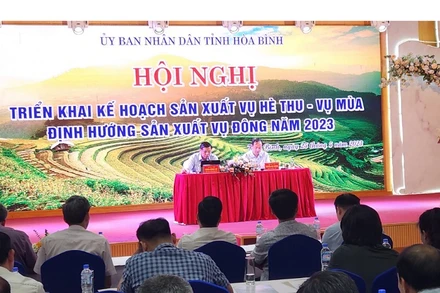 Đông đảo đại biểu các địa phương trong tỉnh tham dự hội nghị.