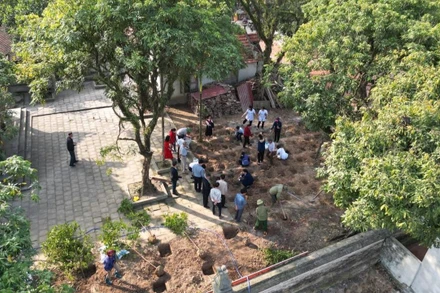 Huyện Gia Viễn bảo tồn, khôi phục và phát triển nguồn gen cây dược liệu quý hiếm phục vụ cho mục tiêu phát triển y tế, du lịch.