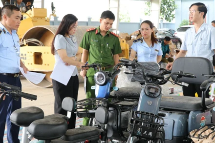 Lực lượng chức năng kiểm đếm các mặt hàng trước khi tiêu hủy.