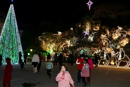 Ghi nhận tại Nhà thờ Giáo xứ Ninh Bình, hiện đang có rất đông người đến cầu nguyện và chụp ảnh ghi lại khoảnh khắc đêm Noel. 