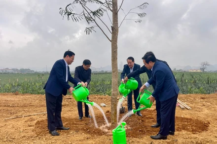 Sau lễ phát động, các đại biểu trồng cây tại thành phố Tam Điệp, tỉnh Ninh Bình.