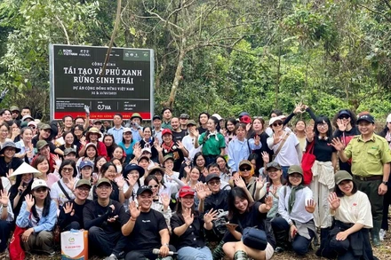 Sự kiện trồng rừng tại Cúc Phương không chỉ là một hoạt động giao lưu độc đáo giữa nghệ sĩ và khán giả, mà còn là minh chứng cho cam kết cụ thể của Lễ hội Forestival trong việc thúc đẩy lối sống xanh và bảo vệ tài nguyên cảnh quan.