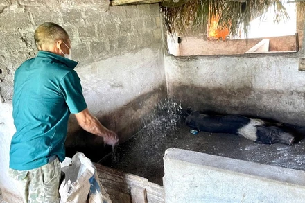 Gia đình ông Nguyễn Hữu Luật ở thôn Giá Thượng, xã Gia Hòa, huyện Gia Viễn, tỉnh Ninh Bình thực hiện công tác tiêu độc khử trùng chuồng trại phòng, chống dịch tả lợn châu Phi. 