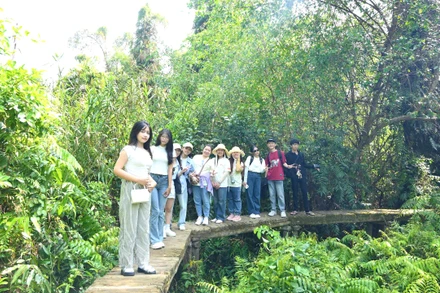 Du khách trẻ tham quan, trải nghiệm dưới tán rừng tràm xanh mướt tại Xẻo Quít, khu “căn cứ lòng dân”. (Ảnh: HỮU NGHĨA)