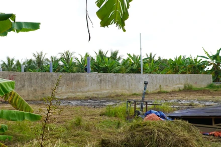 Cơ sở sản xuất giá thể hữu cơ gây ô nhiễm môi trường đang khắc phục tình trạng ô nhiễm. (Ảnh: HỮU NGHĨA)