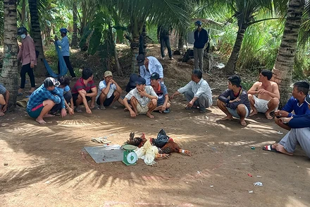 Các đối tượng tham gia đá gà bị bắt quả tang.