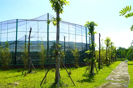 Khu vực sẽ thả 2 cá thể sếu đầu tiên tại Vườn Quốc gia Tràm Chim. (Ảnh: HỮU NGHĨA)