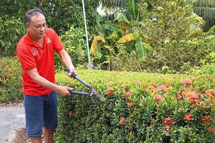 Người dân ấp 5, xã Mỹ Đông cắt tỉa hàng rào cây xanh trước nhà.