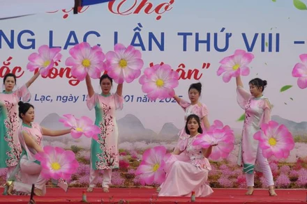 Khai mạc Hội chợ hoa đào xã Quảng Lạc, thành phố Lạng Sơn (Lạng Sơn) lần thứ 8.