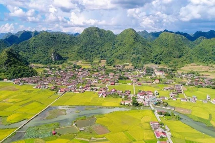 Toàn cảnh cánh đồng Bắc Sơn, (Lạng Sơn) đang vào mùa thu hoạch.