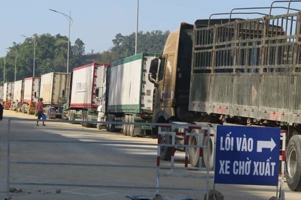 Xe chở hàng nông sản làm thủ tục thông quan qua cửa khẩu Tân Thanh, Văn Lãng (Lạng Sơn).