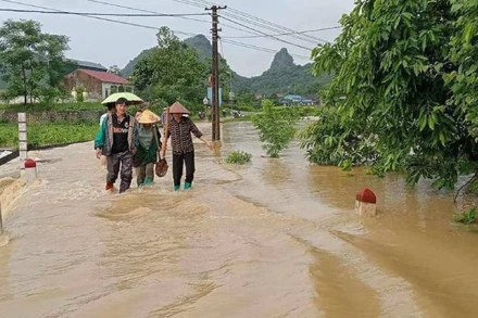 Cần đưa ra các cảnh báo thiên tai cụ thể, sát thực