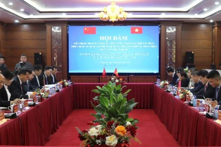 Các đại biểu tham dự hội đàm.