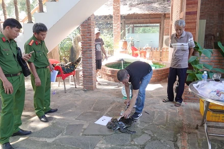 Công an đang kiểm tra tình trạng sức khỏe của các con rùa.