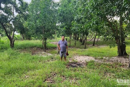 Lô đất tranh chấp.