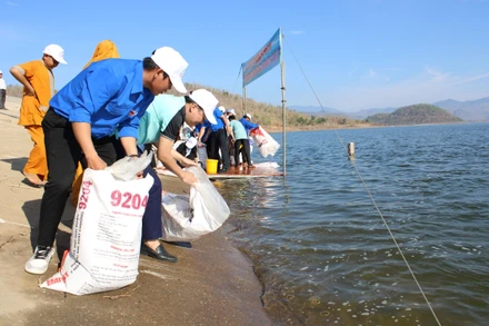 Các đơn vị thả con giống tại hồ thủy lợi sông Lũy.