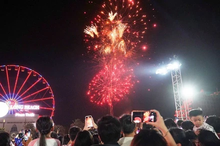 Du khách xem bắn pháo hoa.