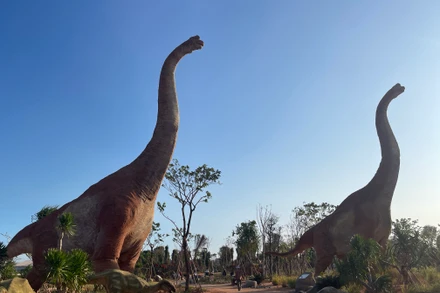 Nườm nượp du khách đến Bình Thuận du lịch dịp Tết Giáp Thìn