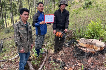 Ba đối tượng tại hiện trường.