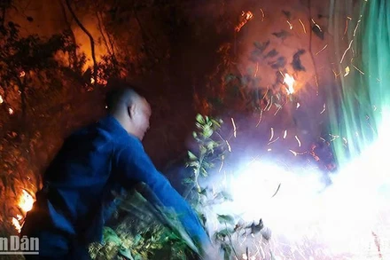 Cơ quan chức năng huy động lực lượng, tiếp cận hiện trường thực hiện các biện pháp dập lửa. 