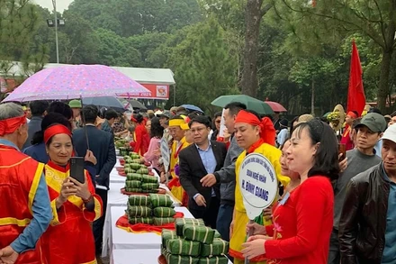 Sản phẩm bánh chưng của các đội tại hội thi.