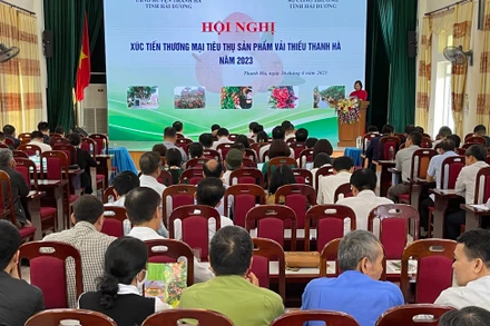 Hội nghị xúc tiến thương mại tiêu thụ sản phẩm vải thiều Thanh Hà.