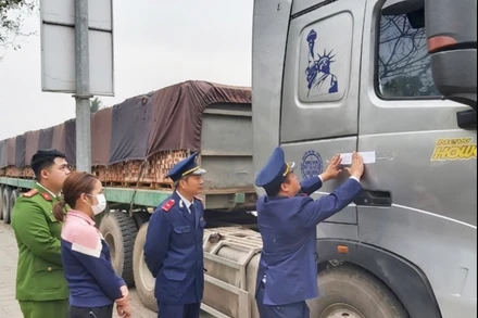 Thanh tra giao thông niêm phong phương tiện vi phạm và thực hiện cưỡng chế.