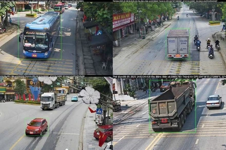 Nhiều phương tiện tham gia giao thông bị xử lý hành vi không chấp hành hiệu lệnh, chỉ dẫn của vạch kẻ đường. (Ảnh: CÔNG AN HÀ GIANG)