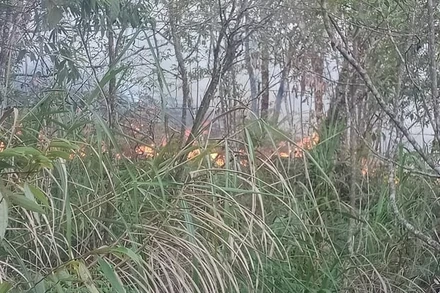 Hiện trường cháy rừng đặc dụng Tây Côn Lĩnh.