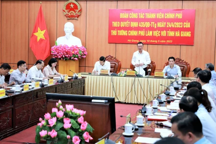 Tổng Thanh tra Chính phủ Đoàn Hồng Phong phát biểu tại buổi làm việc.