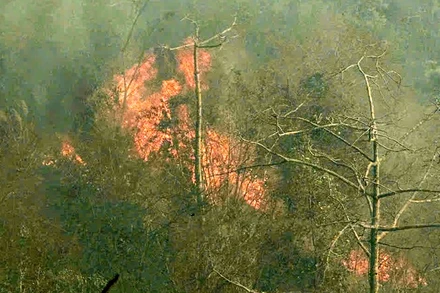 Vụ cháy xảy ra tại khu vực hiểm trở, dốc đứng nên công tác chữa cháy gặp khó khăn.