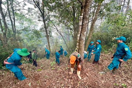 Các lực lượng chức năng tham gia chữa cháy rừng đặc dụng Tây Côn Lĩnh.