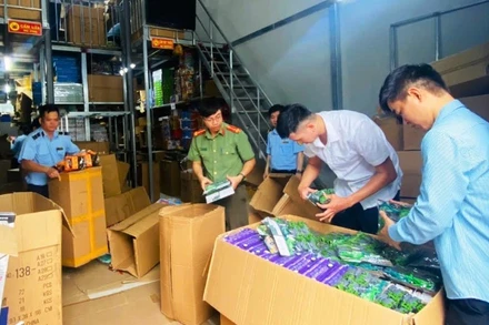 Đoàn kiểm tra phát hiện tạm giữ hơn 3.000 bộ đồ chơi trẻ em không rõ nguồn gốc, xuất xứ. (Ảnh: Công an tỉnh Nam Định).